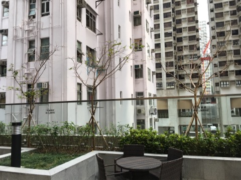 圖檔