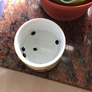 圖檔
