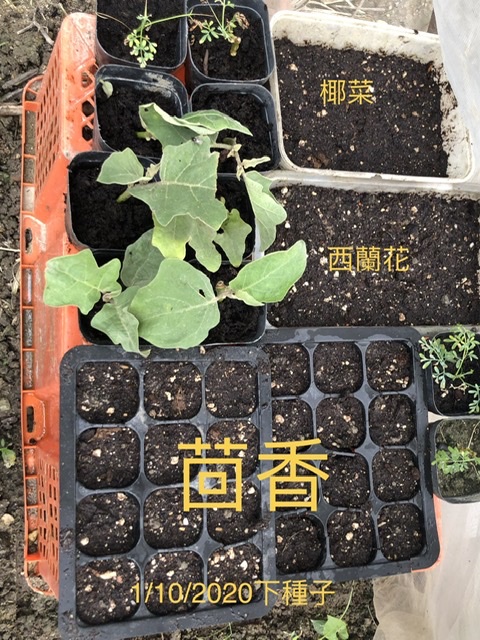 圖檔
