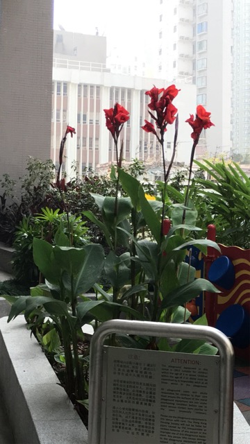 圖檔
