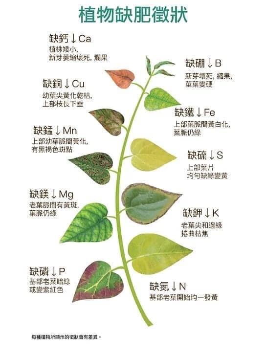 A513ED9C-5B38-4D6D-82AC-6BEE76C361A7.jpeg